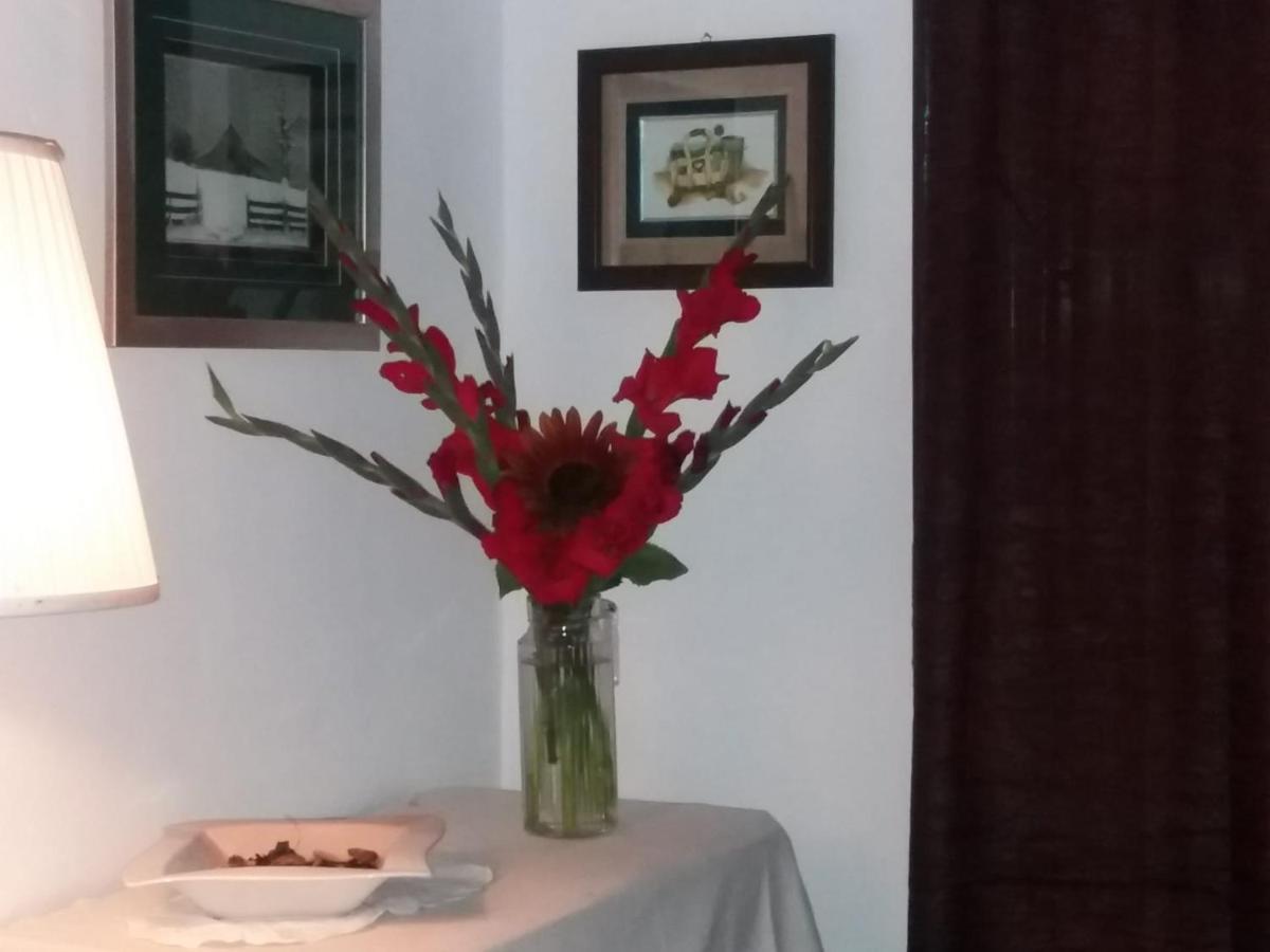 Casa Dragao Bed & Breakfast Порто Екстериор снимка